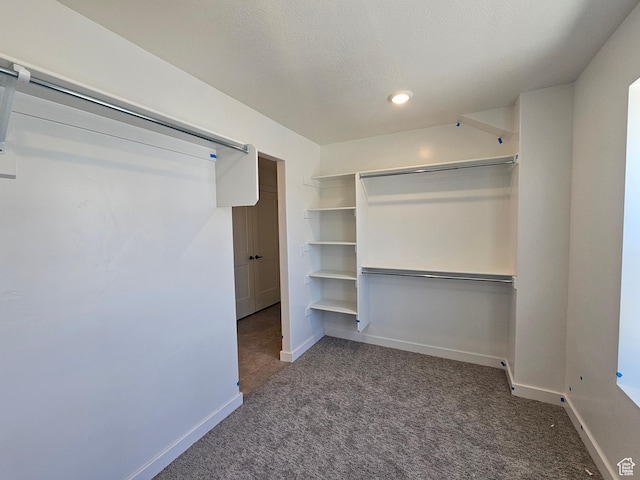 2804 W 2710 N Unit 87, Plain City, UT 84404 - spacious closet featuring carpet