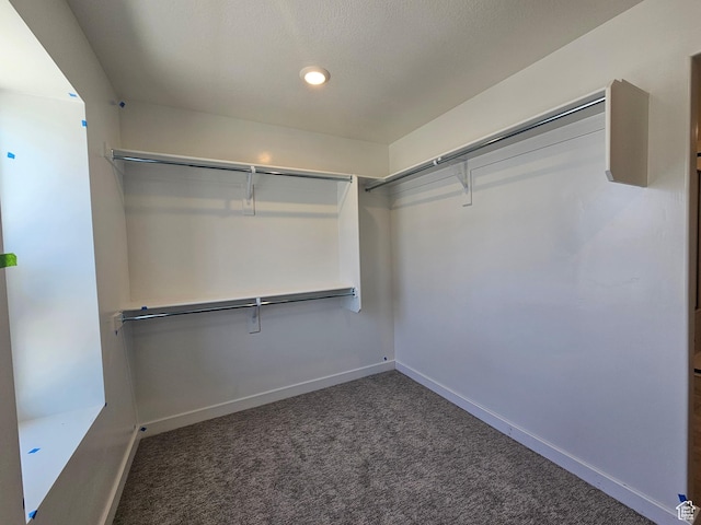 2804 W 2710 N Unit 87, Plain City, UT 84404 - walk in closet featuring carpet floors