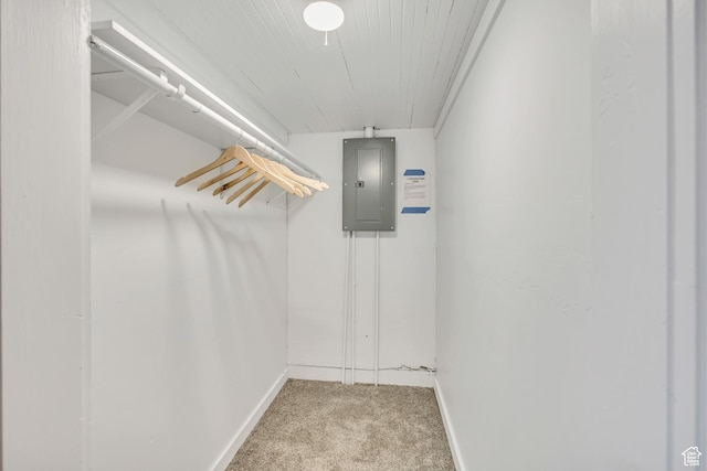 2056 Liberty Ave, Ogden, UT 84401 - spacious closet with electric panel and carpet