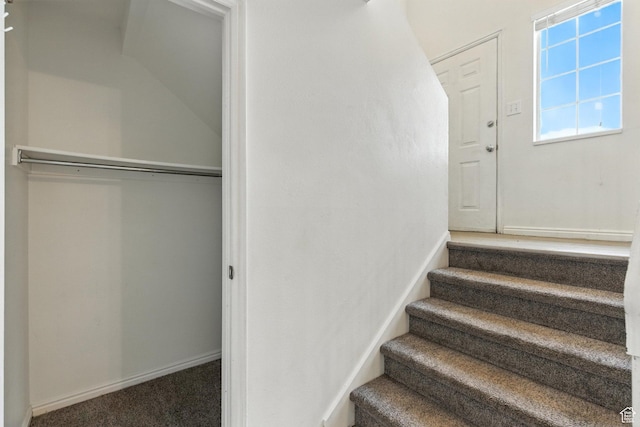 1731 W 800 N, Pleasant Grove, UT 84062 - stairway with carpet and baseboards