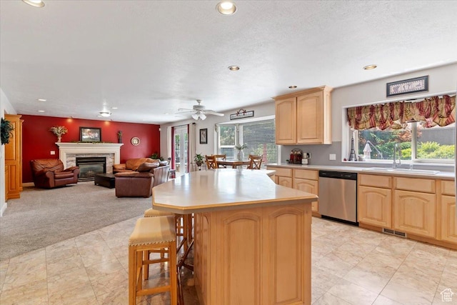567 W 3950 S, Riverdale, UT 84405 - photo 13