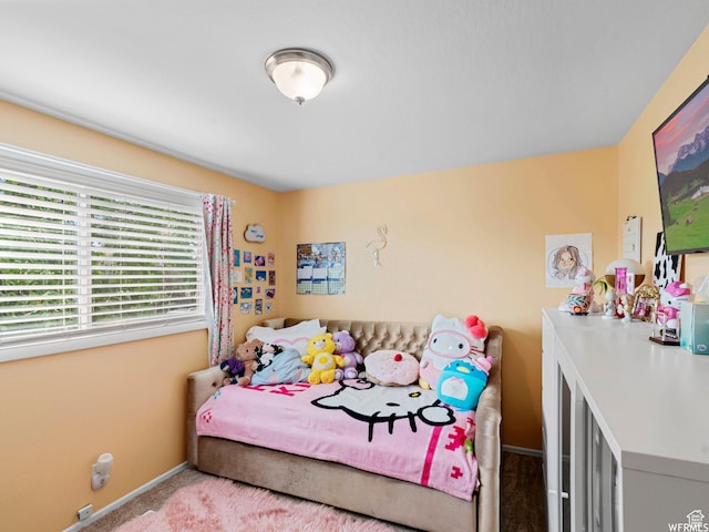 1034 E 1st St S, Ogden, UT 84404 - bedroom with carpet floors and baseboards