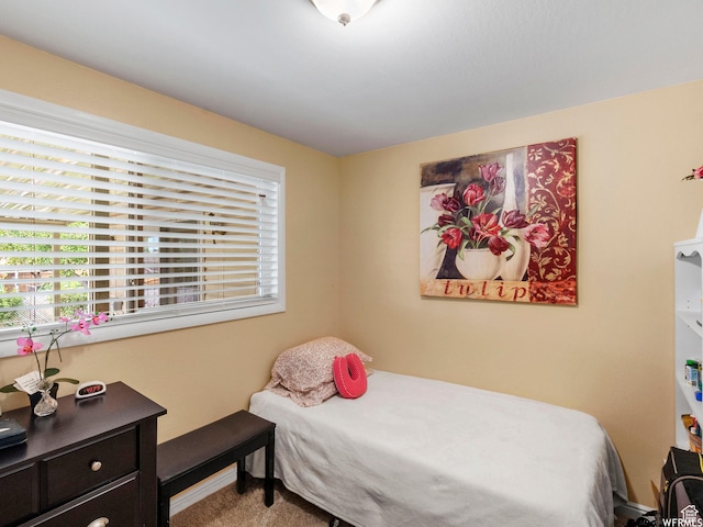 1034 E 1st St S, Ogden, UT 84404 - carpeted bedroom featuring multiple windows