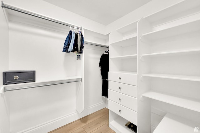 1788 N 925 E, North Ogden, UT 84414 - walk in closet featuring light wood-style flooring