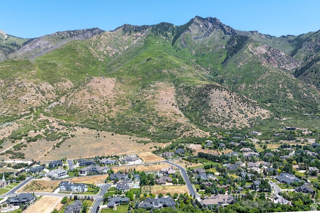1131 E Fox Meadow Ln Unit 5, Alpine, UT 84004