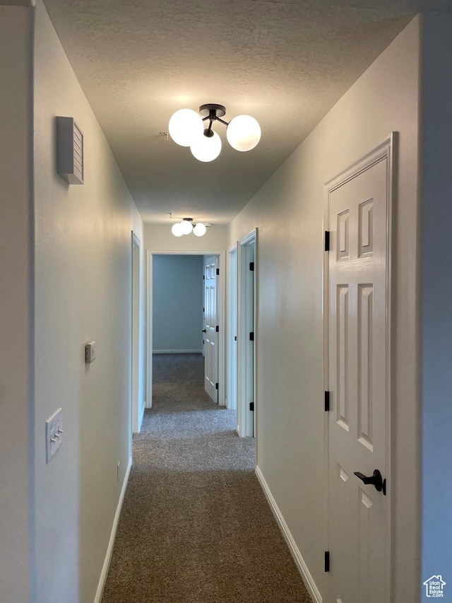 8176 N Cedar Springs Rd Unit V3, Eagle Mountain, UT 84005 - corridor featuring carpet floors and a textured ceiling