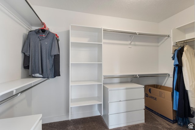 1401 W 1930 N, Pleasant Grove, UT 84062 - spacious closet featuring dark colored carpet