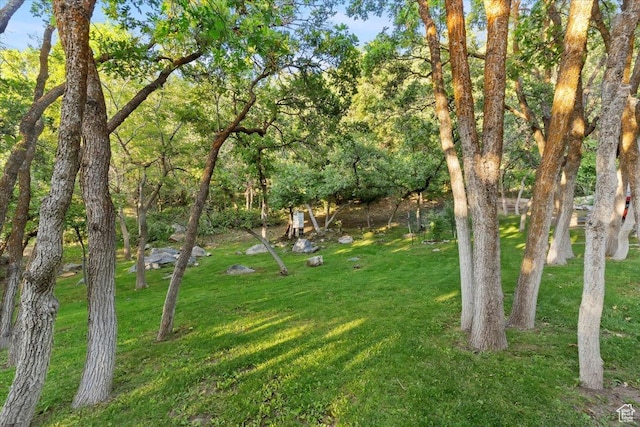 4420 Parkview Dr, Ogden, UT 84403 - view of grassy yard