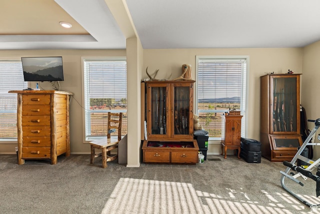 1036 E Airport Rd, Panguitch, UT 84759 - photo 19