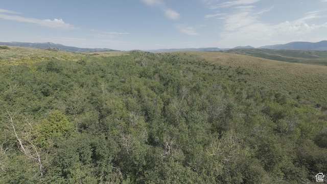 10 Stauffer Canyon Rd, Montpelier, ID 83254