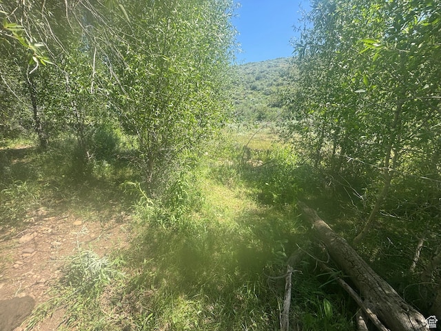 10 Stauffer Canyon Rd, Montpelier, ID 83254