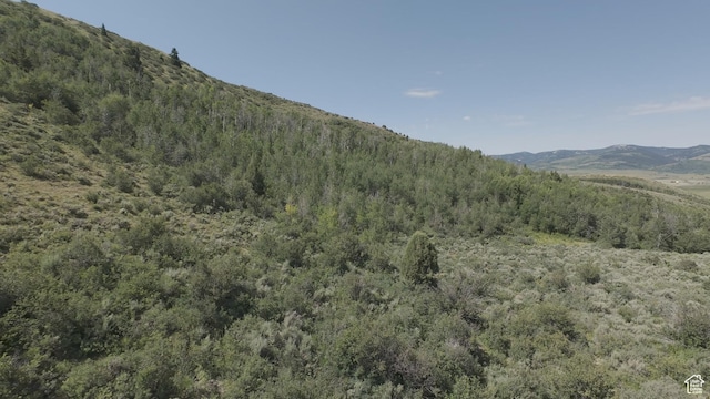10 Stauffer Canyon Rd, Montpelier, ID 83254