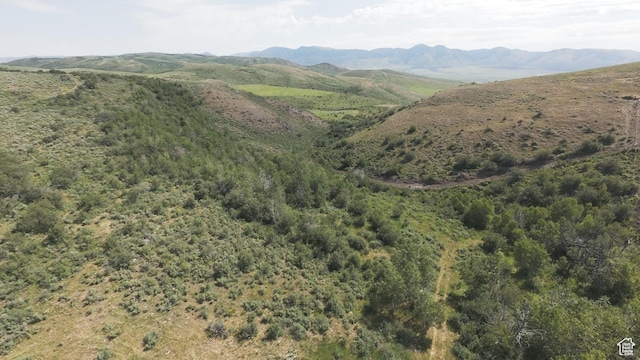 10 Stauffer Canyon Rd, Montpelier, ID 83254