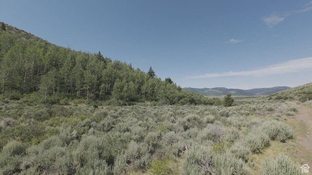 10 Stauffer Canyon Rd, Montpelier, ID 83254