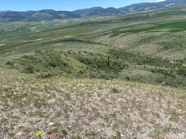 10 Stauffer Canyon Rd, Montpelier, ID 83254
