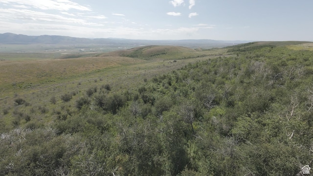 10 Stauffer Canyon Rd, Montpelier, ID 83254