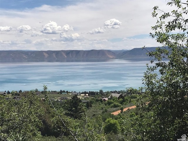 627 Calamity Dr Unit 405, Fish Haven, ID 83287