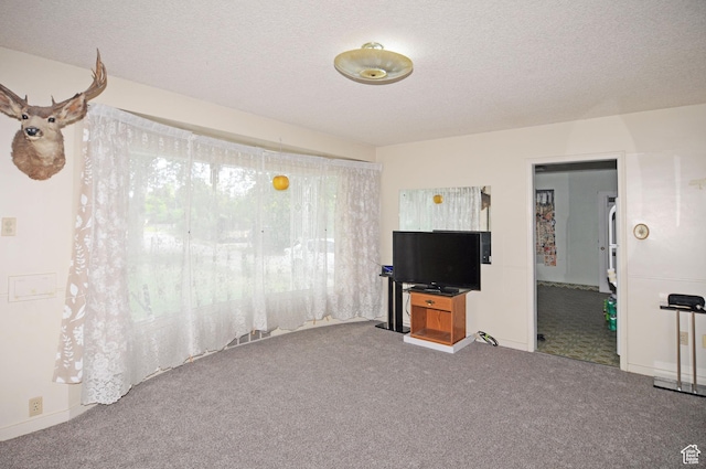 1160 E 12th St S, Ogden, UT 84404 - unfurnished living room featuring carpet and a textured ceiling