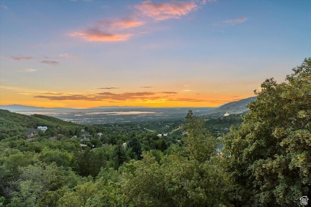 2679 S Wood Hollow Way, Bountiful, UT 84010 - photo 65