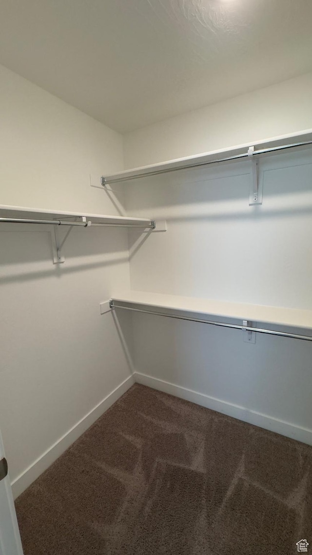 427 E 340 N, Vineyard, UT 84059 - walk in closet with dark colored carpet