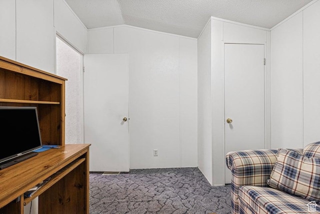 4400 W State St Unit 48, Hurricane, UT 84737 - carpeted home office with vaulted ceiling, a textured ceiling, and crown molding
