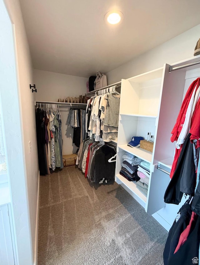 1258 E Bell Buoy Way, Eagle Mountain, UT 84005 - walk in closet with carpet