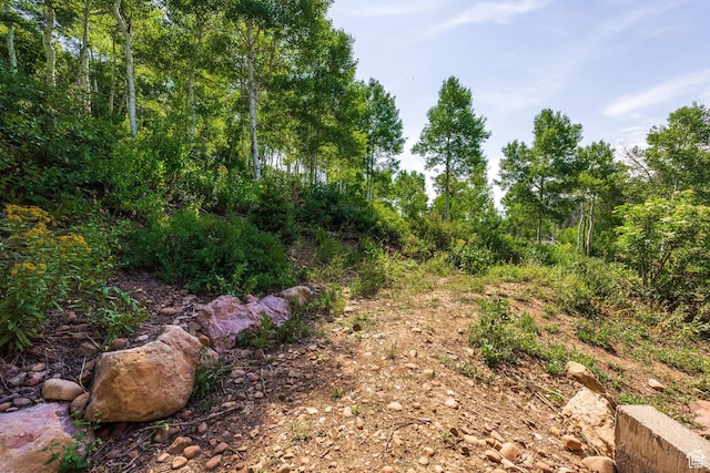 1796 W Tollgate Canyon Rd, Wanship, UT 84017 - photo 56