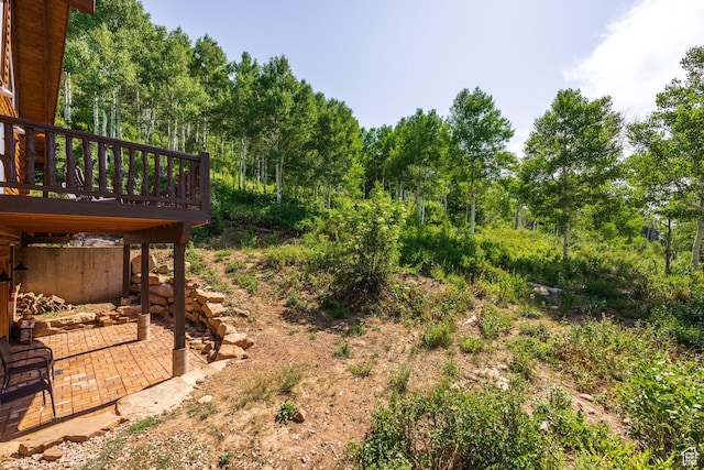 1796 W Tollgate Canyon Rd, Wanship, UT 84017 - photo 43