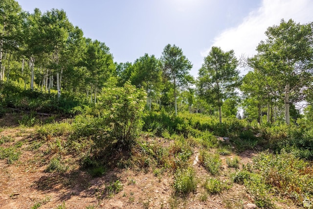 1796 W Tollgate Canyon Rd, Wanship, UT 84017 - photo 44