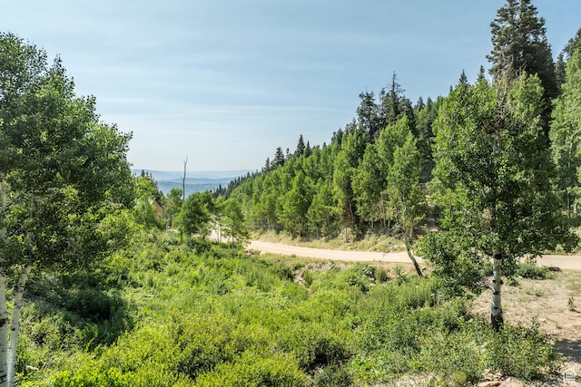 1796 W Tollgate Canyon Rd, Wanship, UT 84017 - photo 66