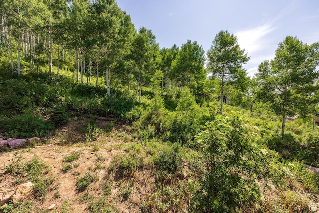 1796 W Tollgate Canyon Rd, Wanship, UT 84017 - photo 55