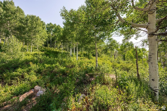 1796 W Tollgate Canyon Rd, Wanship, UT 84017 - photo 45