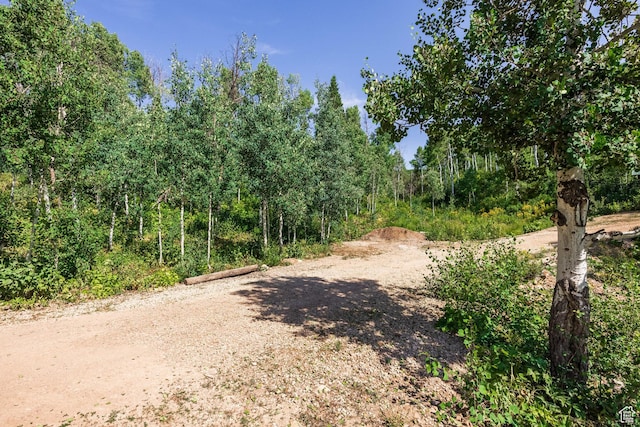 1796 W Tollgate Canyon Rd, Wanship, UT 84017 - photo 67