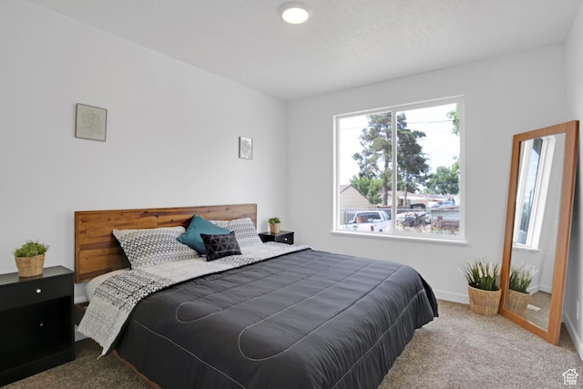 504 W 550 S, Tooele, UT 84074 - photo 7