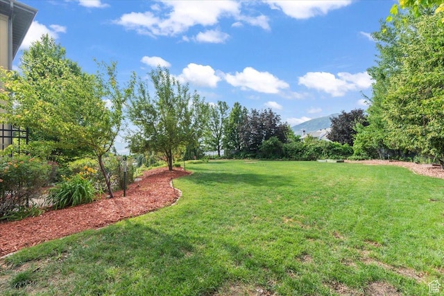 687 S Healey Blvd E, Alpine, UT 84004 - photo 64