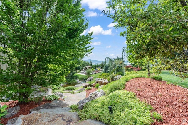687 S Healey Blvd E, Alpine, UT 84004 - photo 63