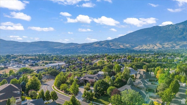 687 S Healey Blvd E, Alpine, UT 84004 - photo 74