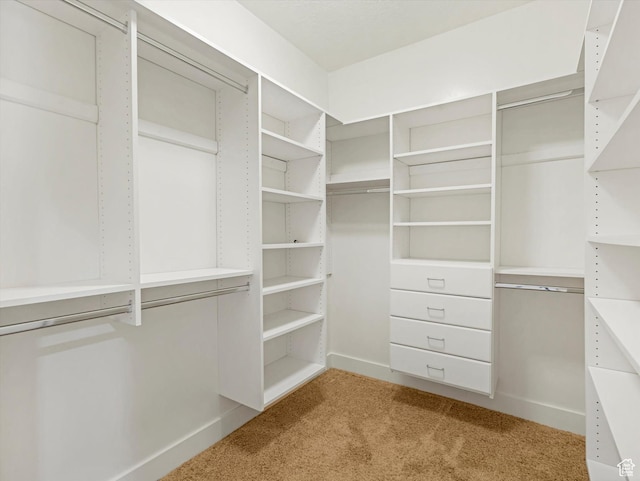4828 Brooks Way, Holladay, UT 84117 - spacious closet with light colored carpet