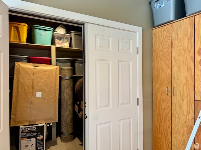 12 S Main, Holden, UT 84636 - view of closet