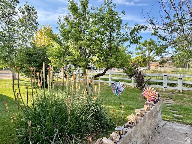 12 S Main, Holden, UT 84636 - view of yard