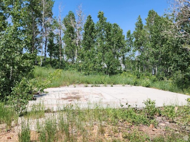 8153 John Fremont Dr Unit H212, Huntsville, UT 84317 - photo 21