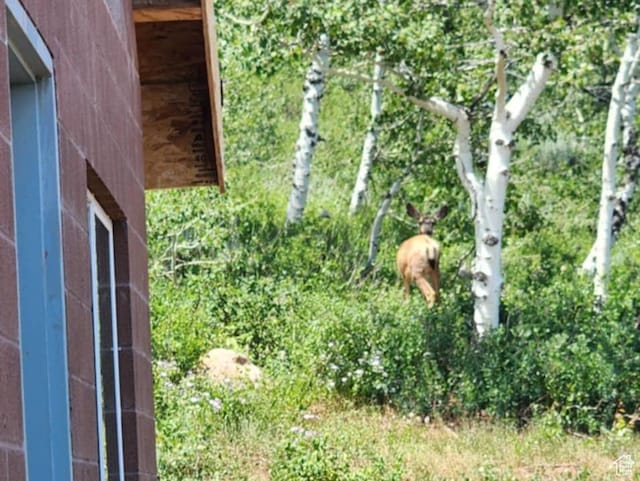 8153 John Fremont Dr Unit H212, Huntsville, UT 84317 - photo 4