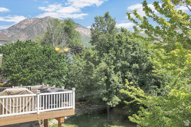 3672 N 225 E, North Ogden, UT 84414 - photo 28