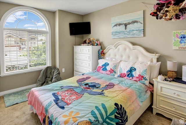 3672 N 225 E, North Ogden, UT 84414 - photo 19