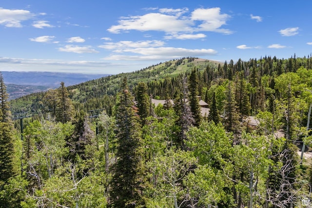 67 Red Cloud Trl Unit 23, Park City, UT 84060
