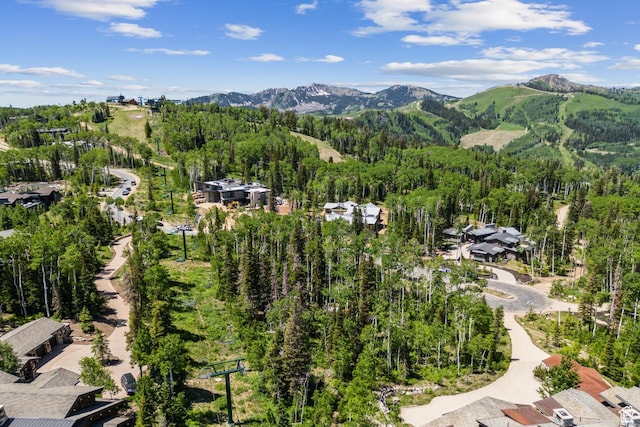 67 Red Cloud Trl Unit 23, Park City, UT 84060