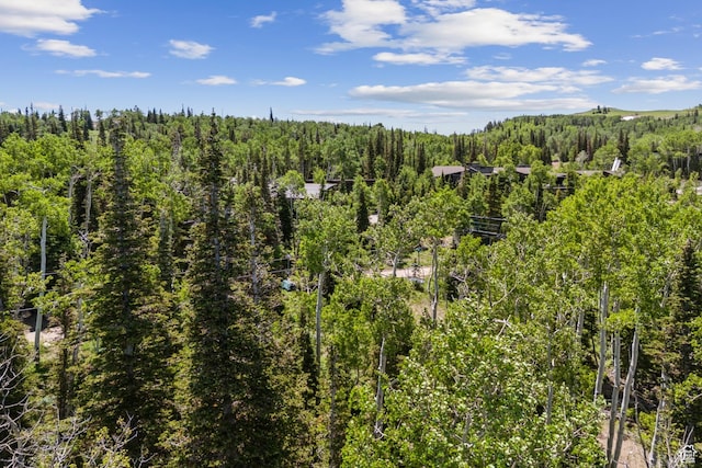 67 Red Cloud Trl Unit 23, Park City, UT 84060