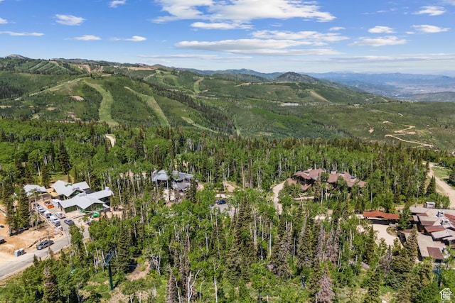 67 Red Cloud Trl Unit 23, Park City, UT 84060
