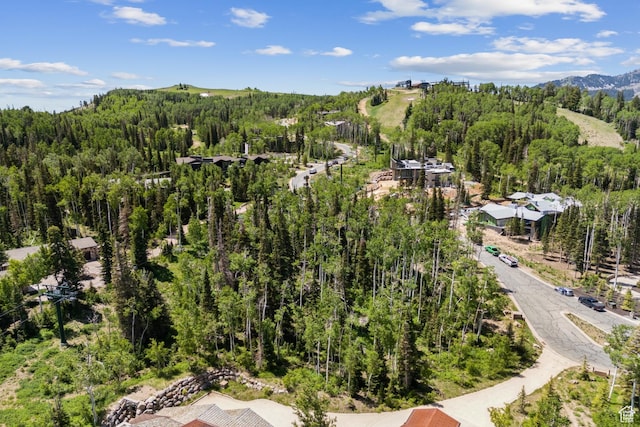 67 Red Cloud Trl Unit 23, Park City, UT 84060