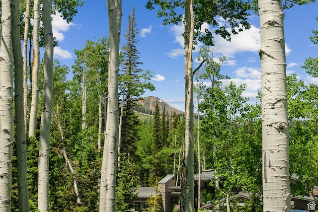 67 Red Cloud Trl Unit 23, Park City, UT 84060